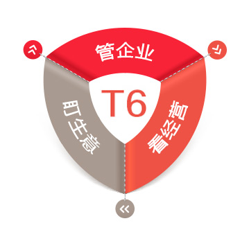 ͨT6ɫ
