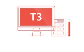 T3܉wĎׂ(g)Ӵ